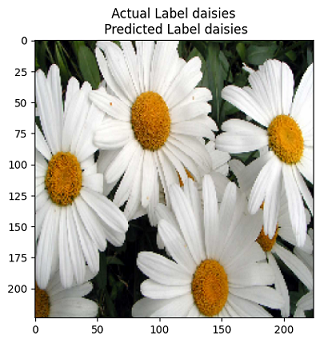 Flower Image Classification using Ensemble Models | CodeTrade.io