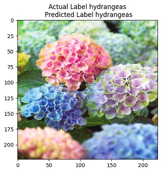 Flower Image Classification using Ensemble Models | CodeTrade.io